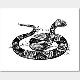 Snake Vintage Image Posters and Art